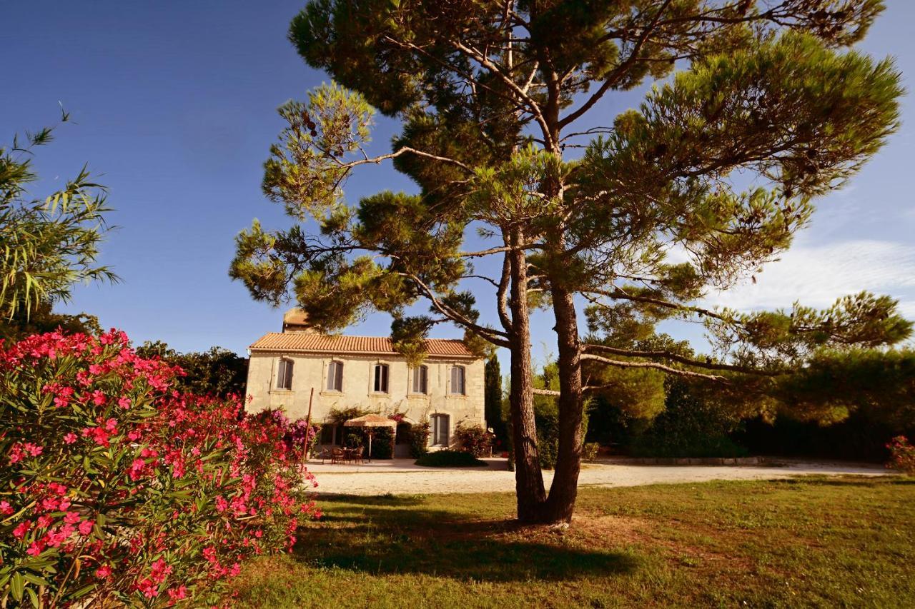 Maison Tara Verte Au Mas Montredon Arles Exterior photo